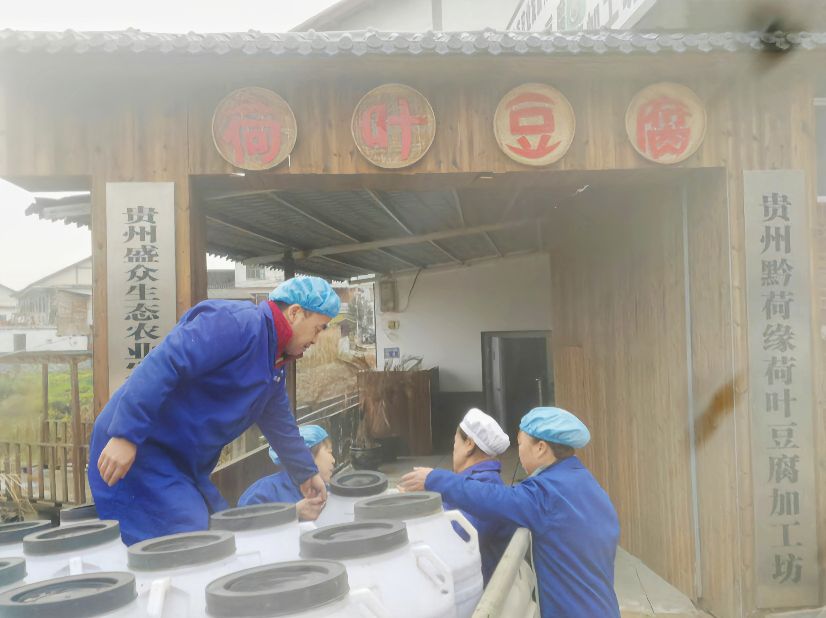 贵州铜仁阡城莲花谷农业专业合作社诚邀您加盟双惠互利共赢