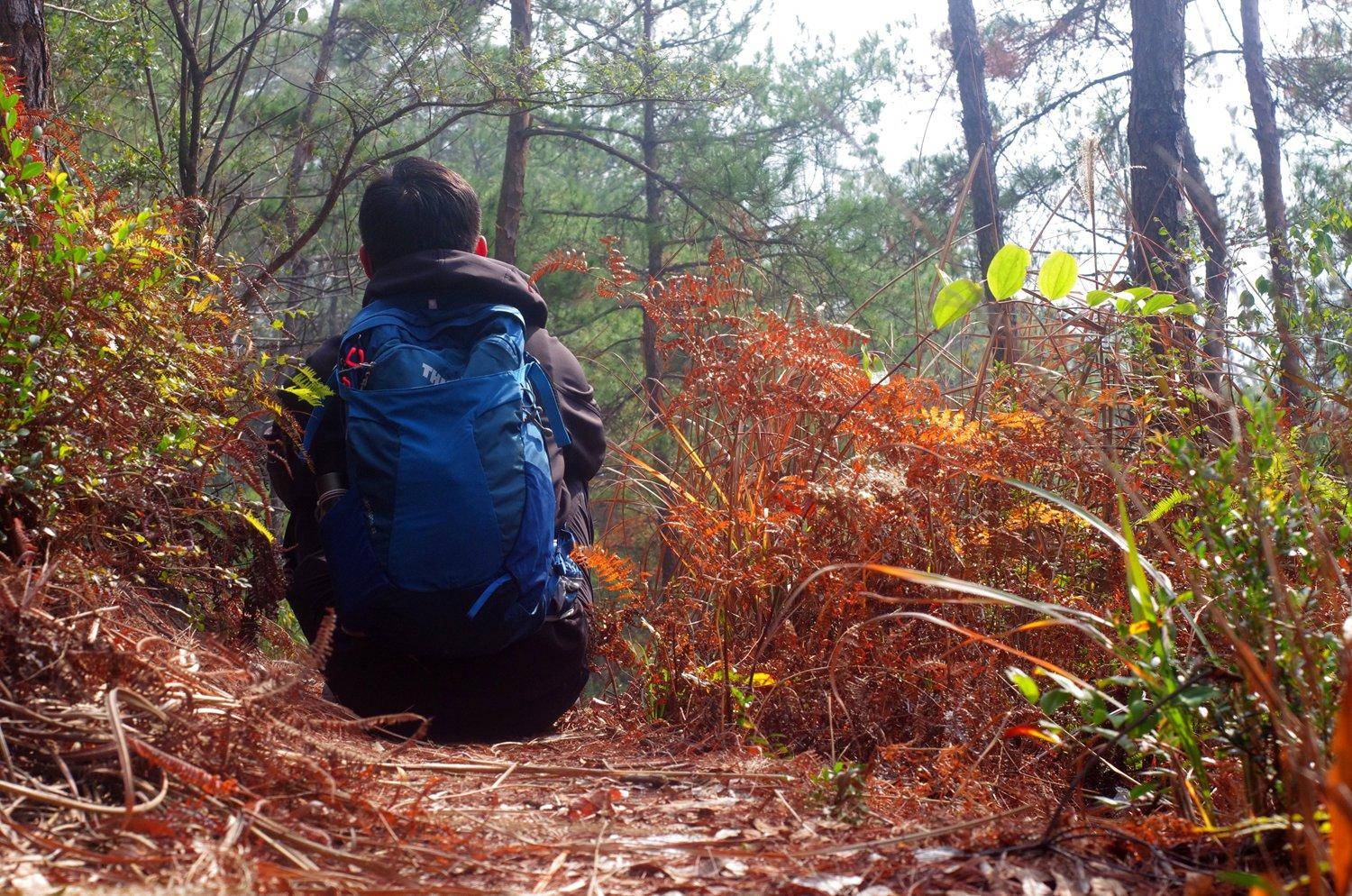 旅游/短线背包怎么选—拓乐ThuleCapstone22L背包体验记