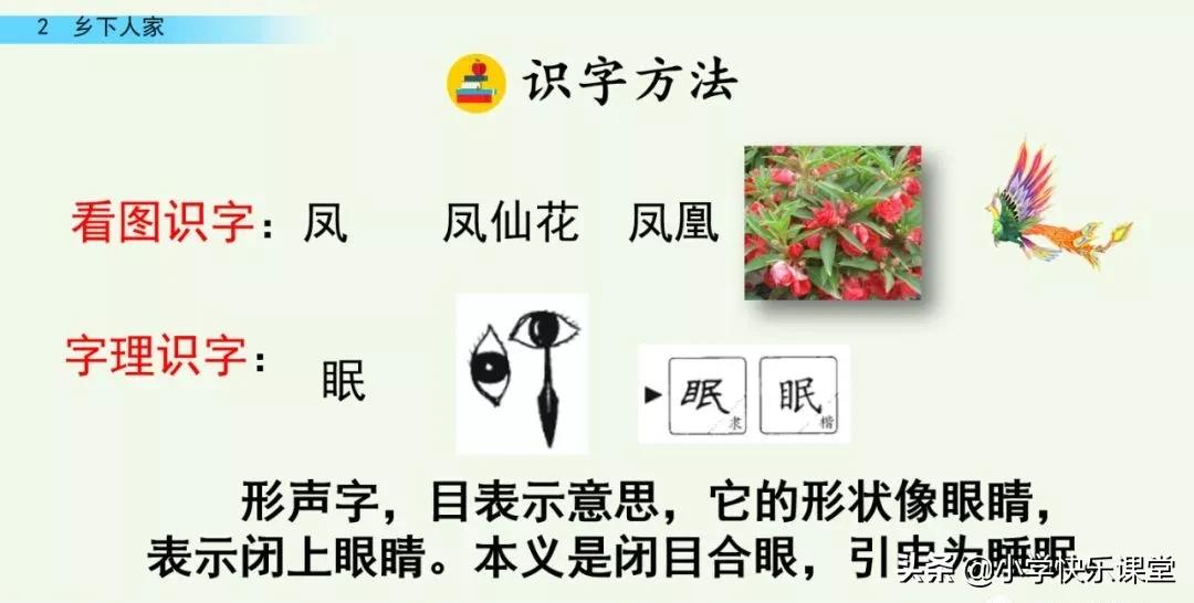 部编四年级下册语文乡下人家练习,部编版四年级下乡下人家同步练习