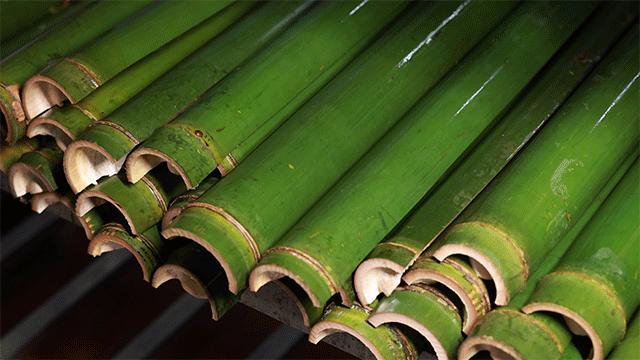 蒸鱼用竹筷子架上放盘子,用竹筒蒸的饭叫什么