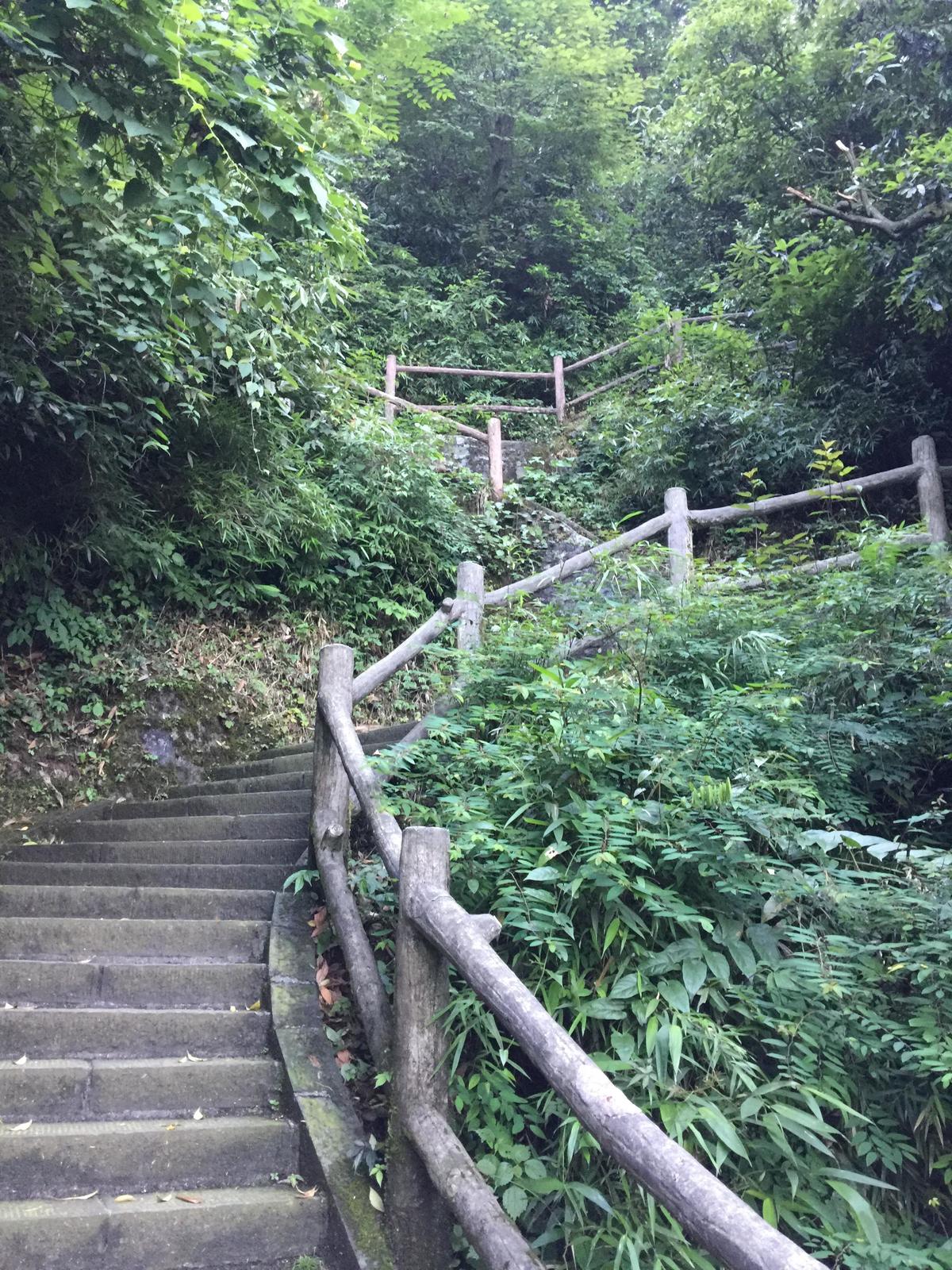 峨眉山登顶佛像,峨眉山登顶记完整版