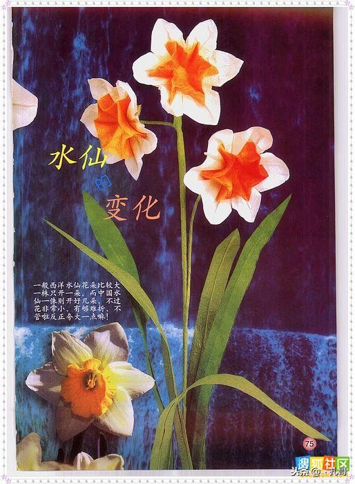 折纸大全方便又漂亮又实用,精致实用的折纸大全步骤