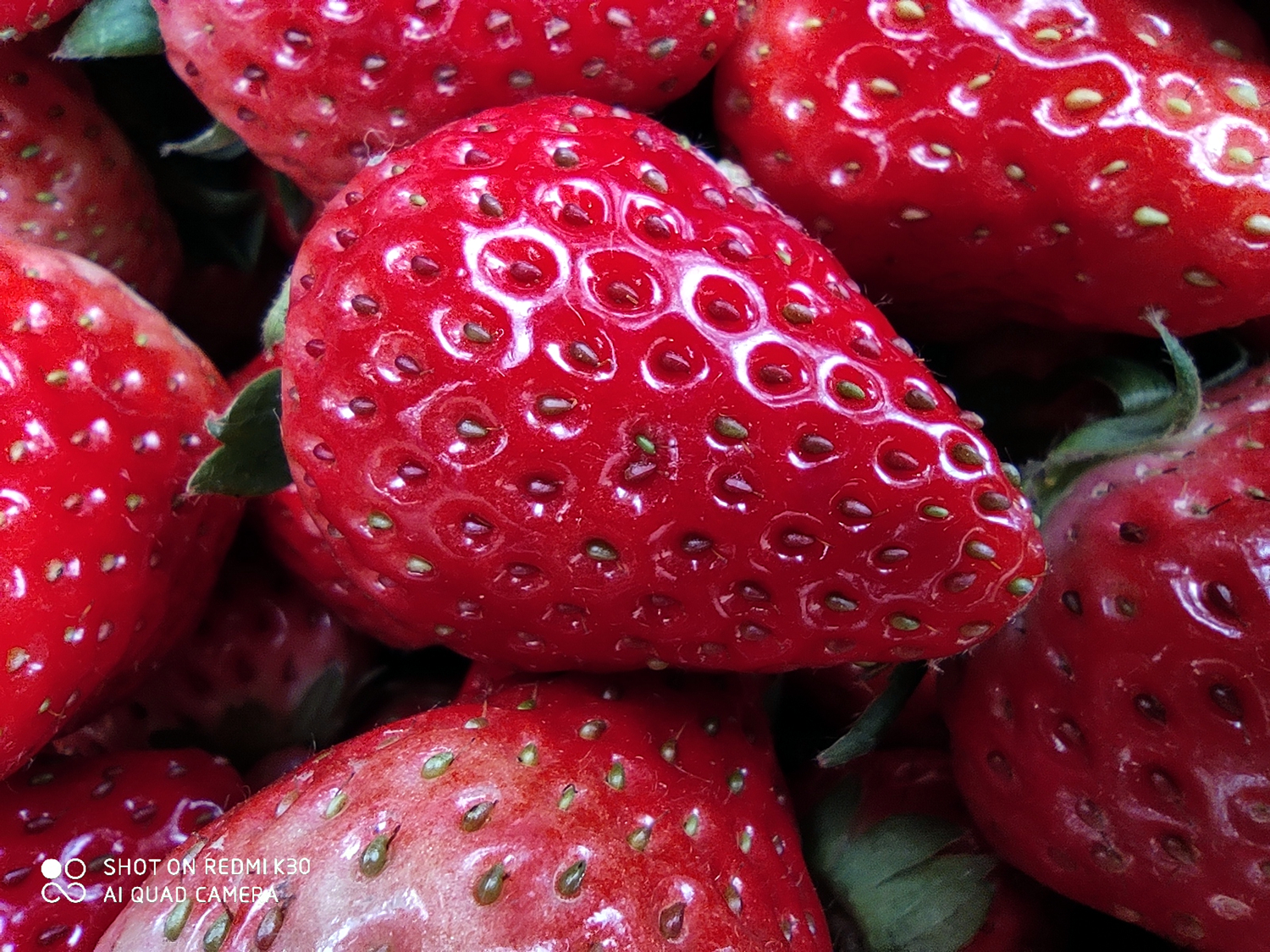 红米K30用上6400万索尼相机，使用一周之后，聊聊拍照感受