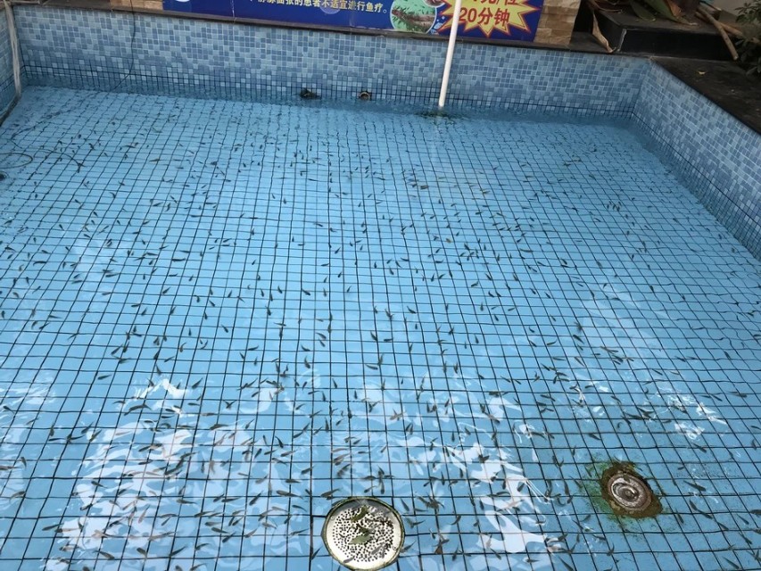 辽宁鞍山温泉水世界,鞍山天源吉布世温泉一日游