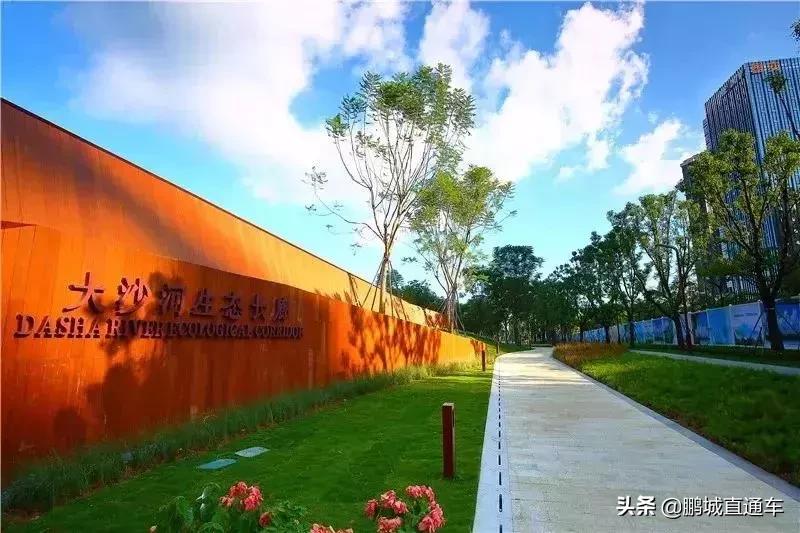 深圳60个最适合一日免费景点,暑假深圳旅游必去十大景点