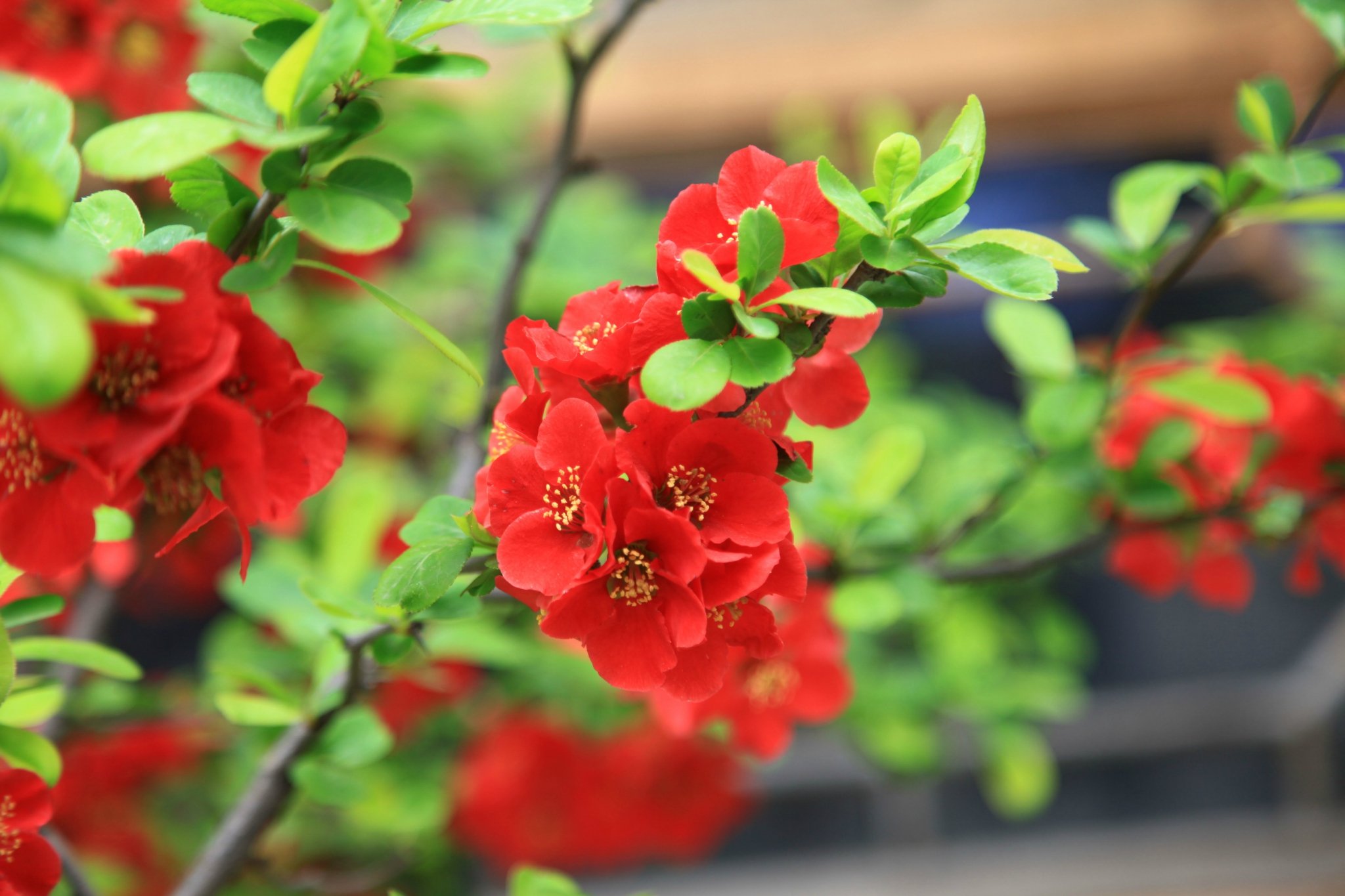 天下第一峡野三坡景区,百里峡三国取景地
