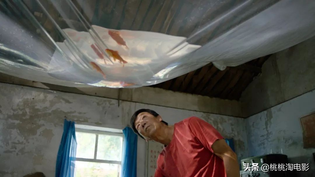 11月份值得看的院线电影,钱包守不住