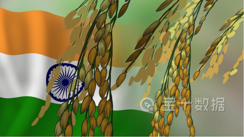 印度大米出口中国多少钱一斤,印度进口大米价格表