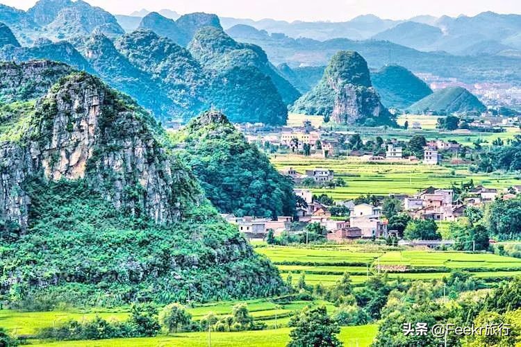 全球最大樱花基地原来就藏在贵州！万亩花海通到湖，机票低至2折