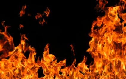 杨文说八字合婚,杨文八字知识大全