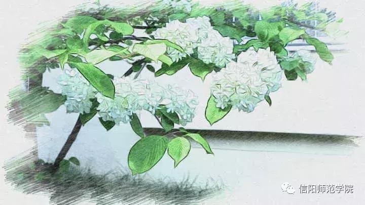 信阳师范学院美术学院,手绘信阳师院