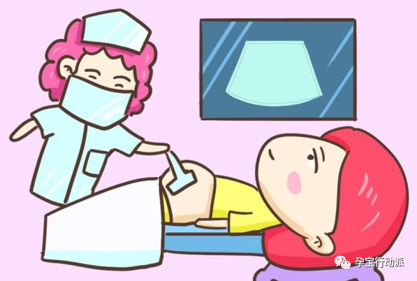 孕期周刊是什么软件,孕期知识百科十五周