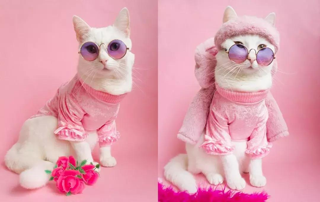 gucci和supreme联名马丁靴,guccisupreme鞋子