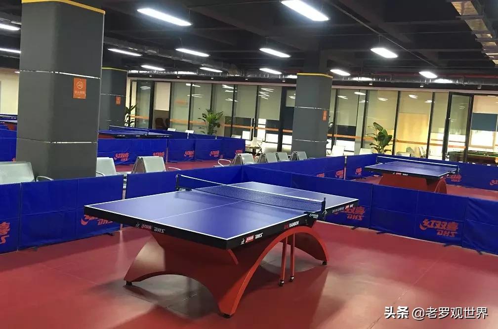 成都哪些体育场馆免费开放,成都开放的体育场有哪些