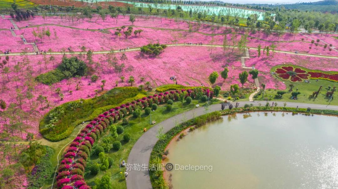 云南最美小镇图片,云南太平湖森林公园花海