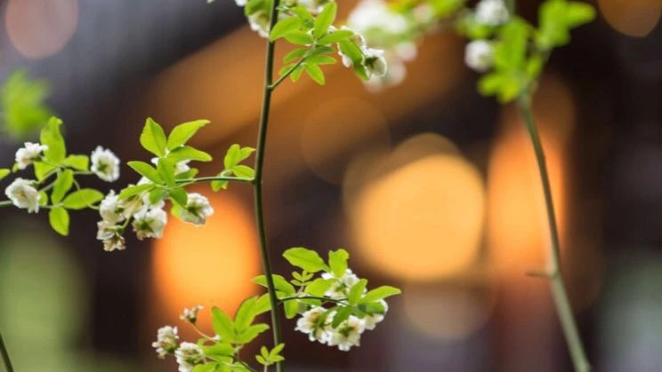 天上掉馅饼屋顶砸个洞,天上掉馅饼砸我头上了是怎么回事