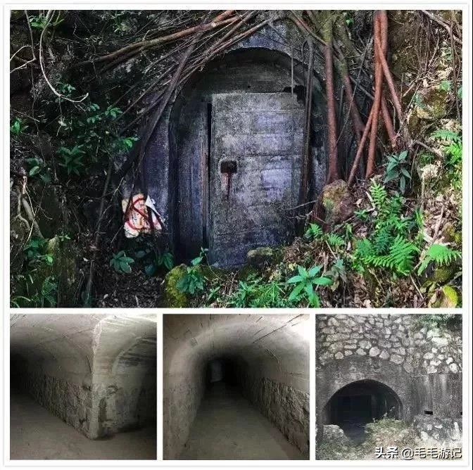 端午可以去的小岛,珠海端午出游攻略