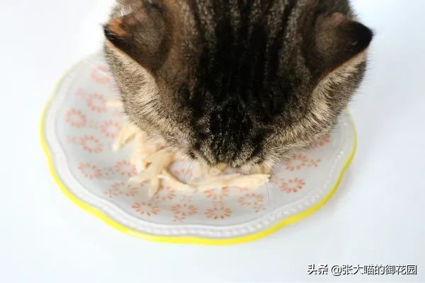 网易严选猫咪冻干零食,网易严选猫零食罐测评