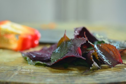 西餐香草大全及用途视频,好吃的西餐料理有哪些
