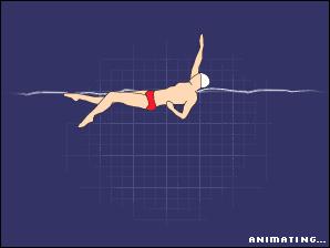 游泳的四种泳姿全学会要多久,游泳必学的四种泳姿你掌握了几种