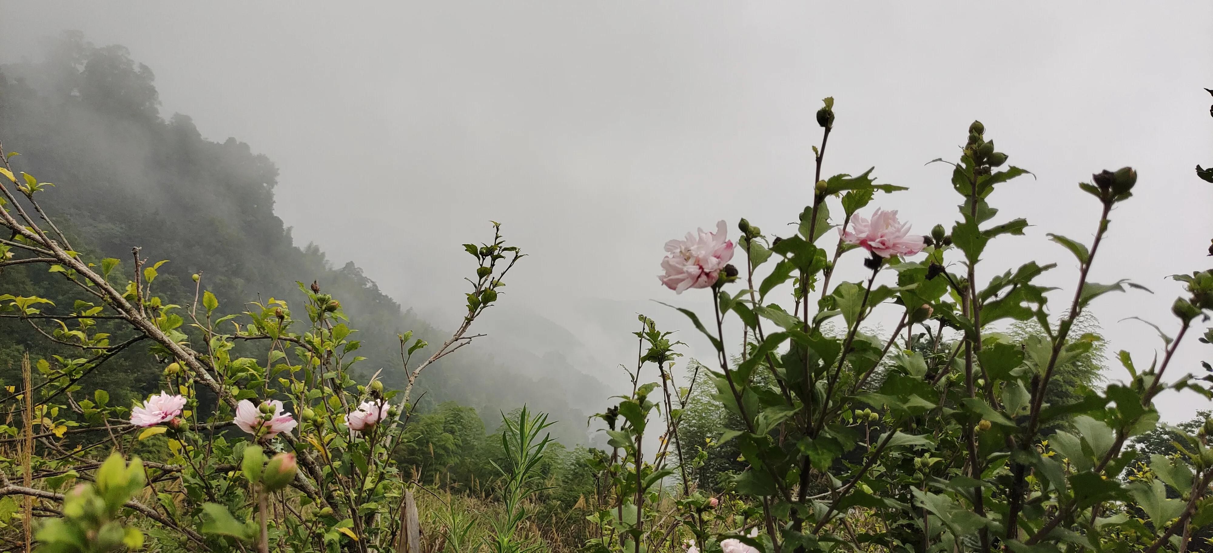登上绝壁悬崖感受一览众山小,登上泰山之巅的感觉