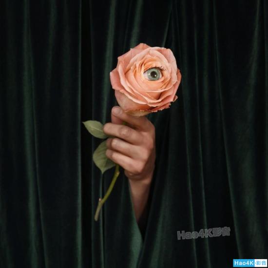 音乐领航员：NordostQRT电源处理系统的评测分享心得