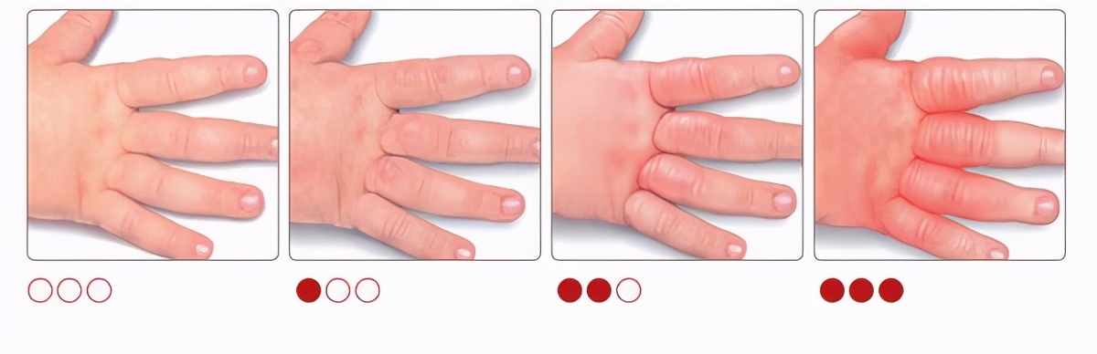 精致的猪猪女孩攻略,精致猪猪女孩必买的东西