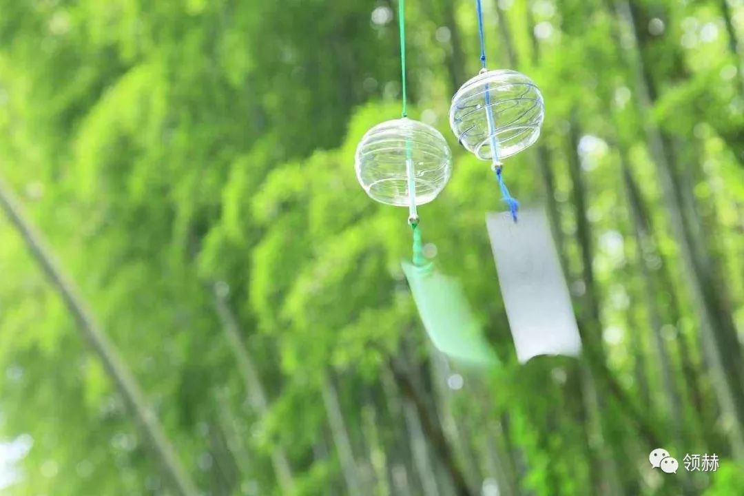 夏日小火车,凉爽小火车