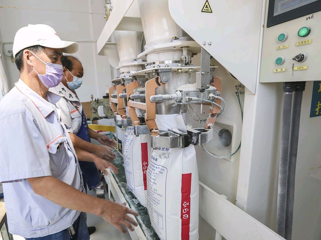 水饺太好吃了怎么办,水饺好包法