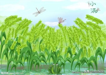 二十四节气对应一句诗句,二十四个节气二十四首诗词与配图