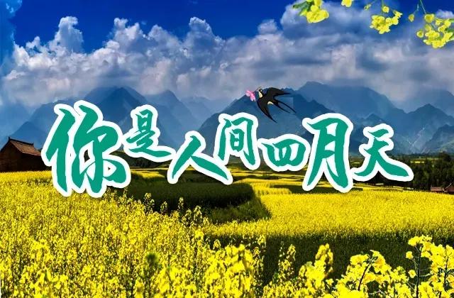 探丝路之旅,探丝路风情