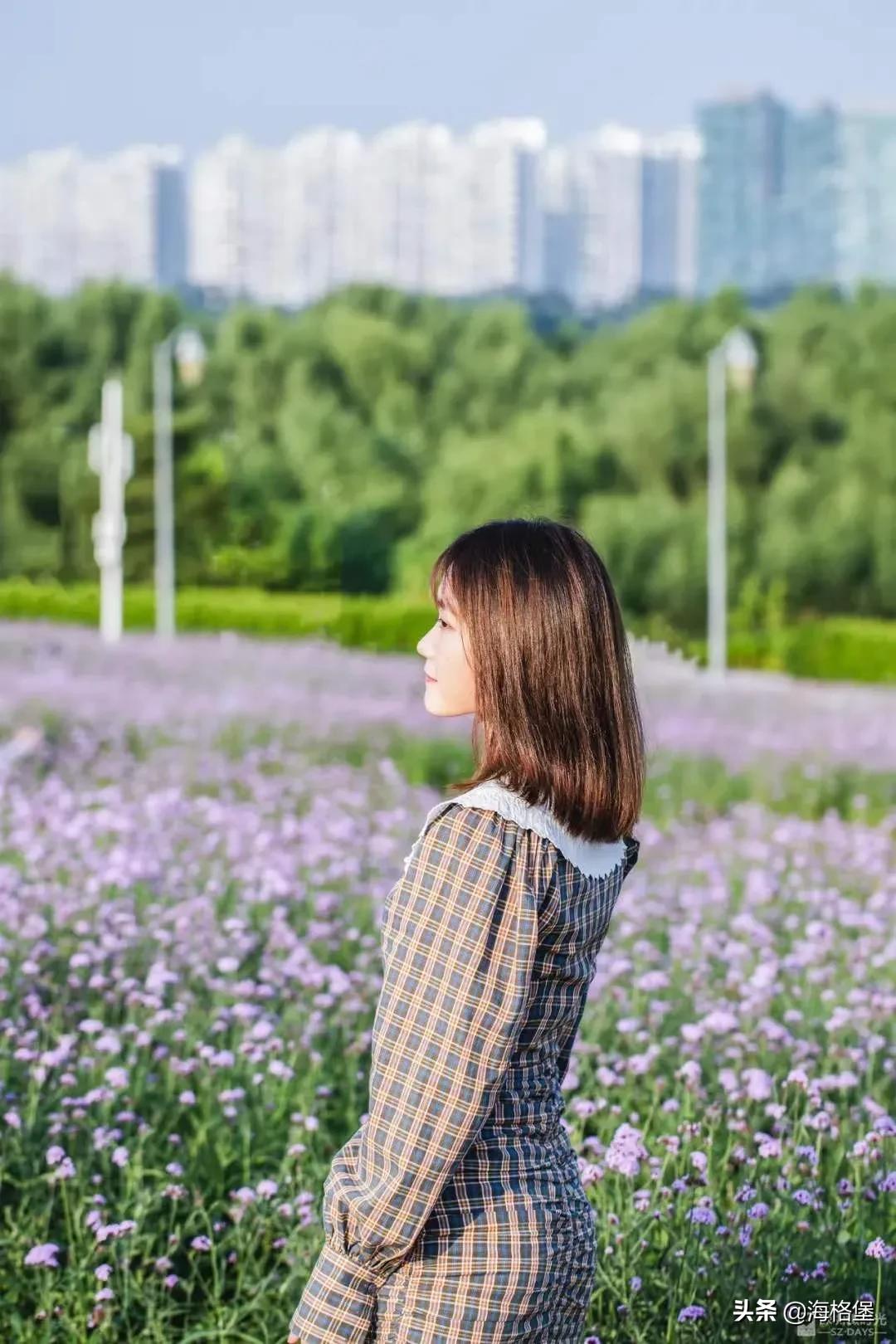 绱壊姊﹀够鑺辨捣鍏洯,娣卞湷鏅綏鏃烘柉2024绱壊鑺辨捣