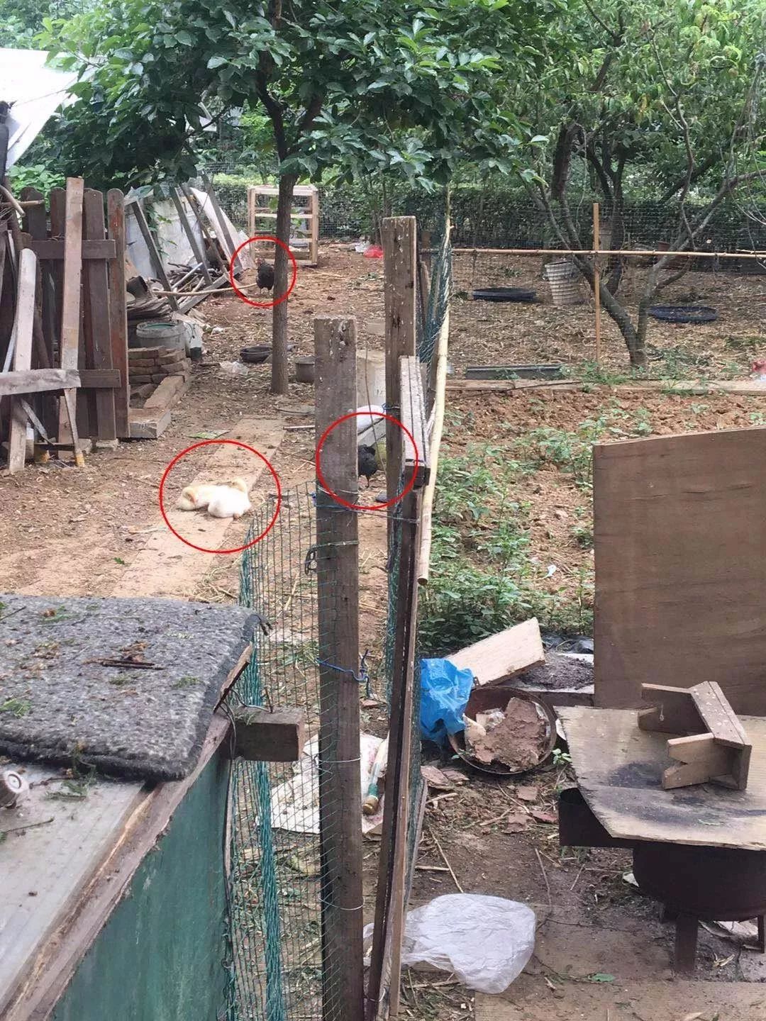 徐州十大最难买楼盘排名,徐州最吓人楼盘