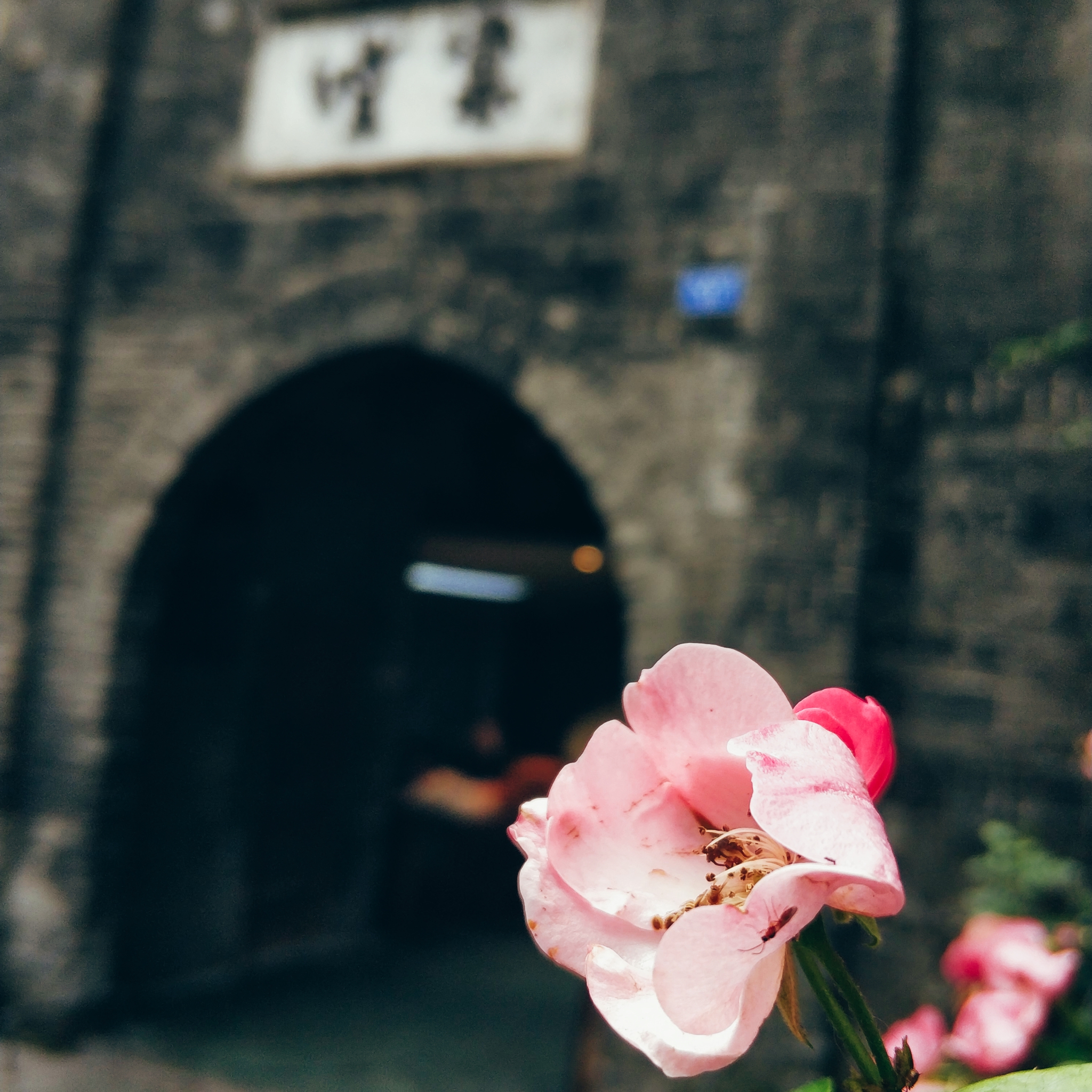 川藏线骑行从成都还是拉萨开始,318川藏线成都到拉萨骑行赛