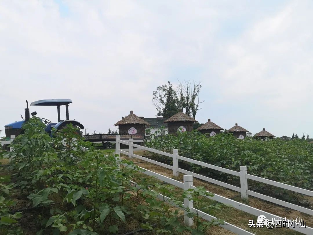 极简风网红民宿,8家网红民宿推荐