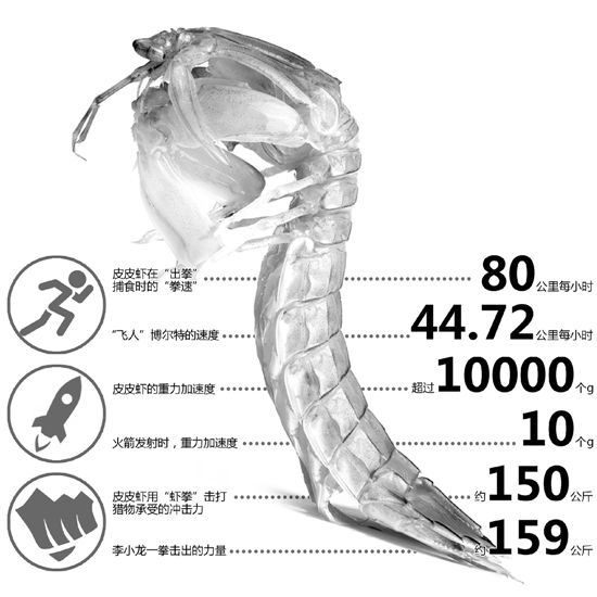 皮皮虾小朋友表情包,皮皮虾特别火的小孩子表情包