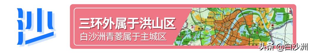 白沙洲丽水路未来规划,白沙洲大道以西规划