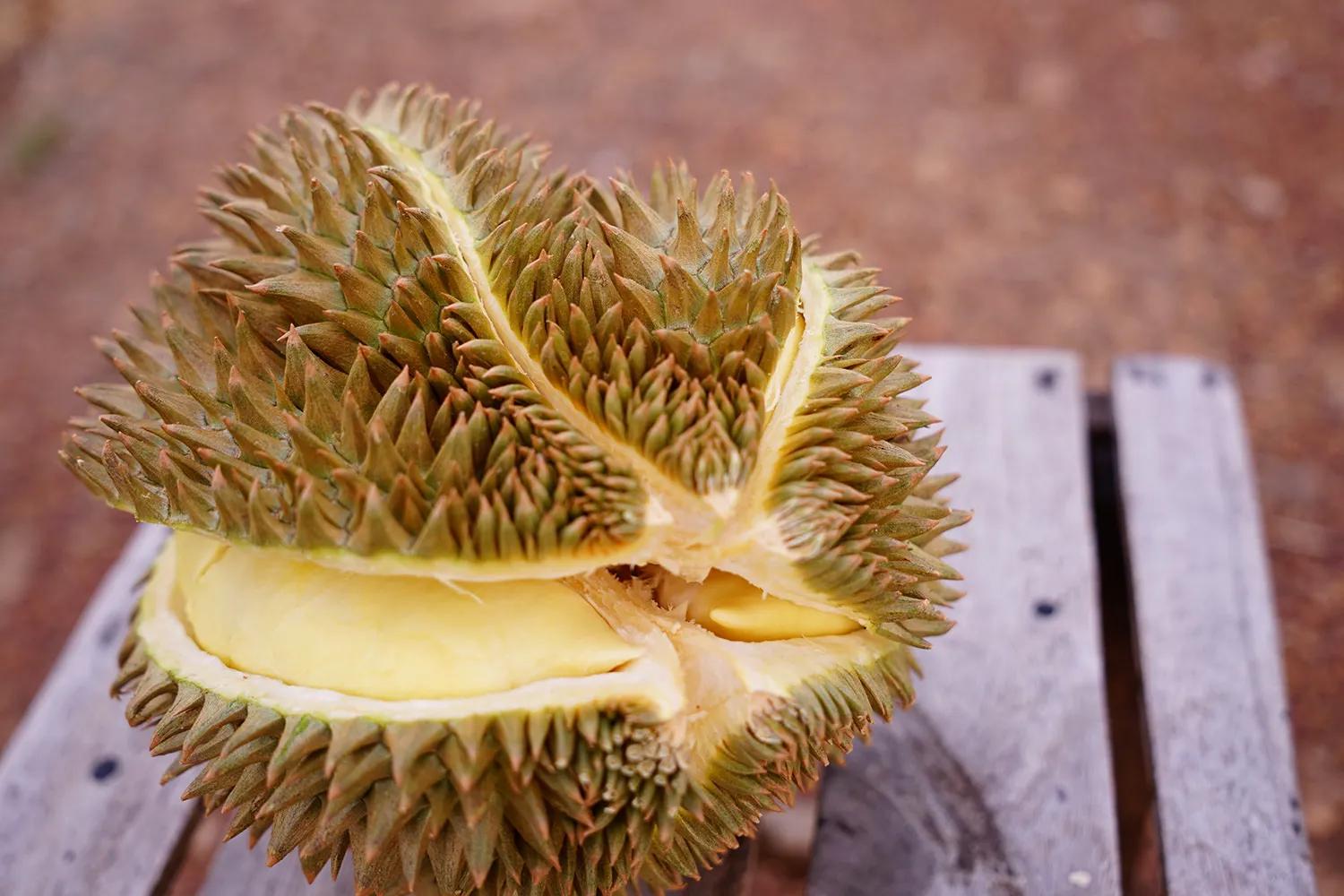泰国榴莲最好的是哪个品种,佳沃的榴莲好还是金枕头的榴莲好