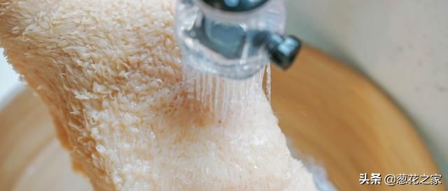 牛肚煮熟了有异味怎么去除,牛肚怎么洗才好吃呢