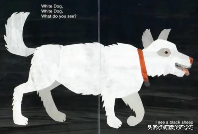 英语绘本brownbear动画,brownbear英文绘本讲读视频