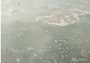 池塘常见鱼病大全,池塘水质有腥臭味是什么原因