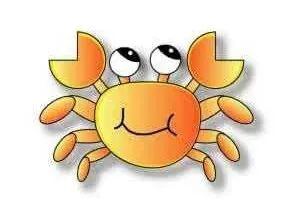 中国最好的三大蟹,广东什么蟹最便宜