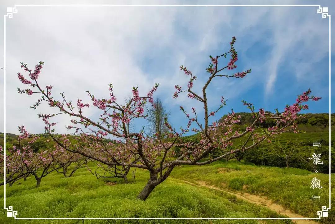 宁波龙观一分钟，浩瀚时间海，弱水一瓢饮