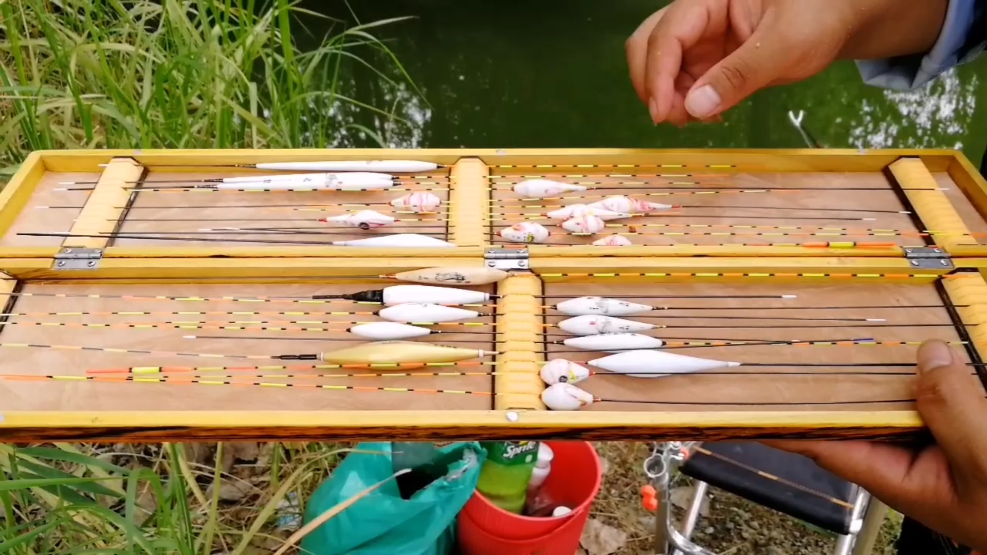 小鱼闹窝怎么调整最快,规避小鱼闹窝的好方法