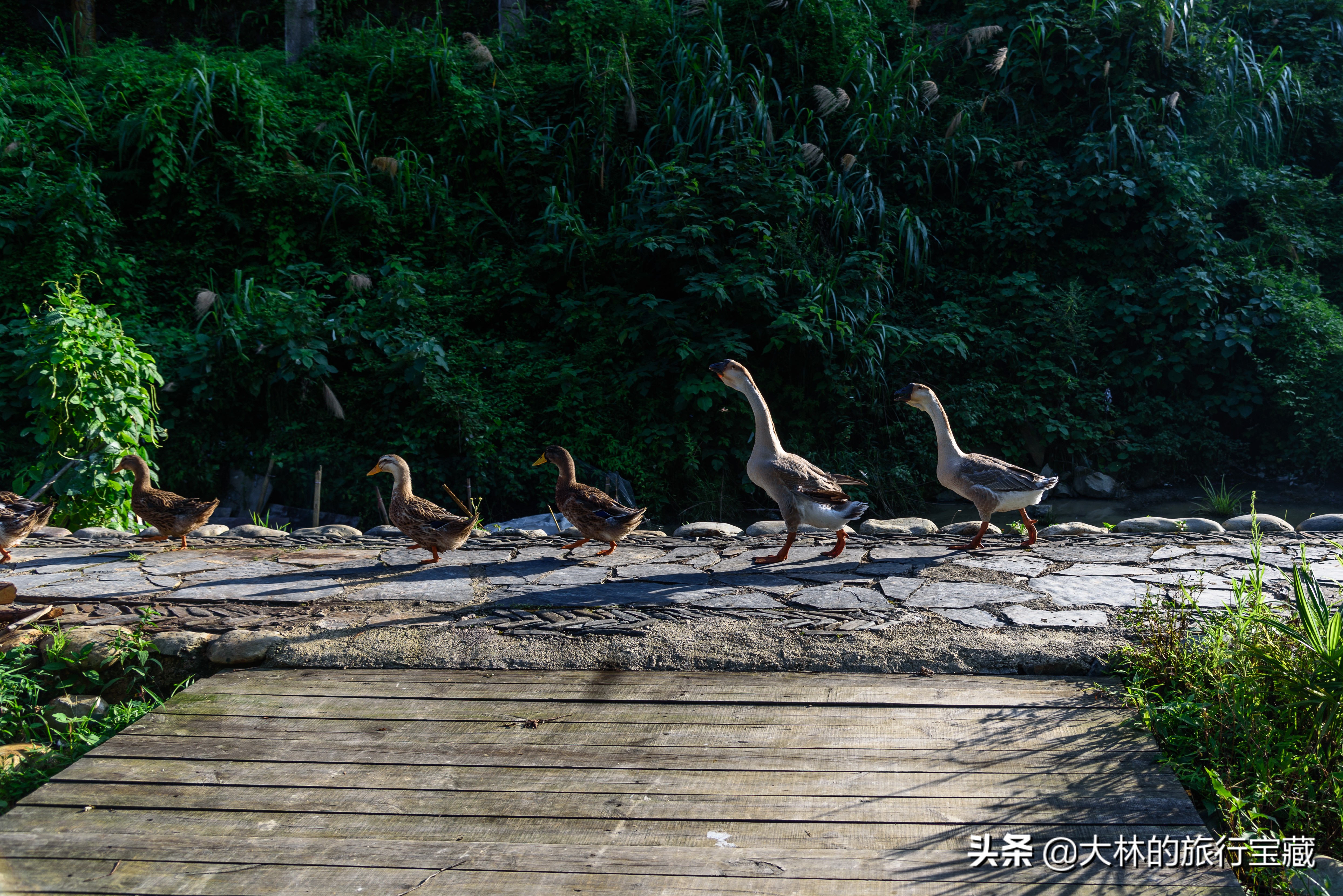 中国第一民俗村,民俗第一村在哪里
