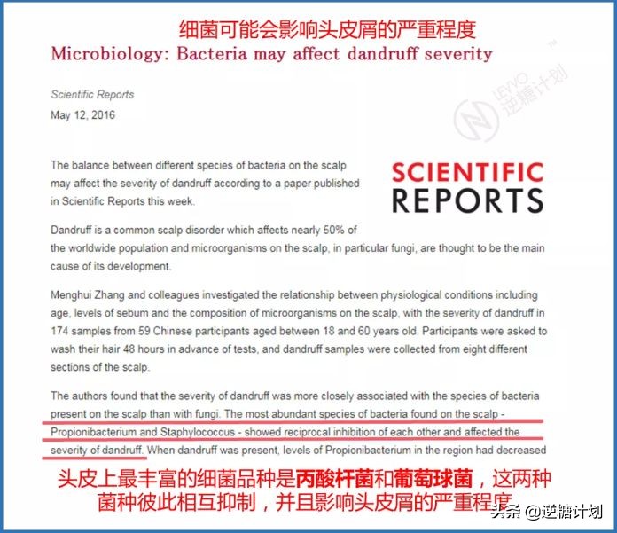 头皮发痒头皮屑多有小疙瘩怎么办,头皮严重发痒头皮屑多小妙招