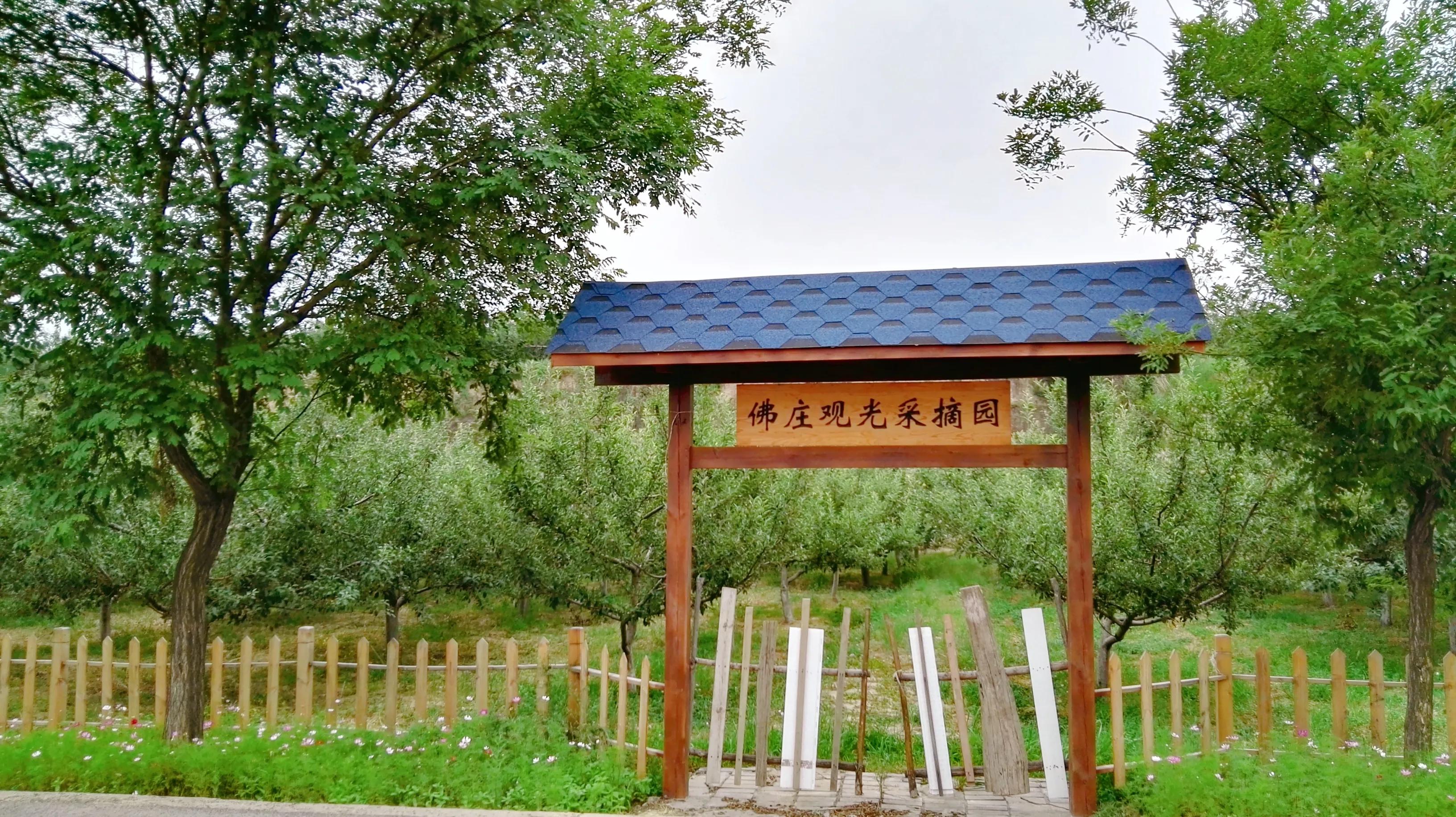 走进延安—登顶圣地宝塔山，感受安塞腰鼓山，游览佛道合一云台山