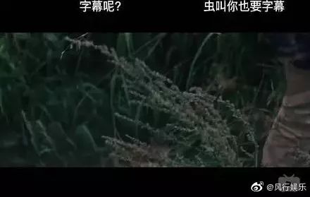 那些搞笑的弹幕,被沙雕网友的弹幕笑疯了哈哈哈