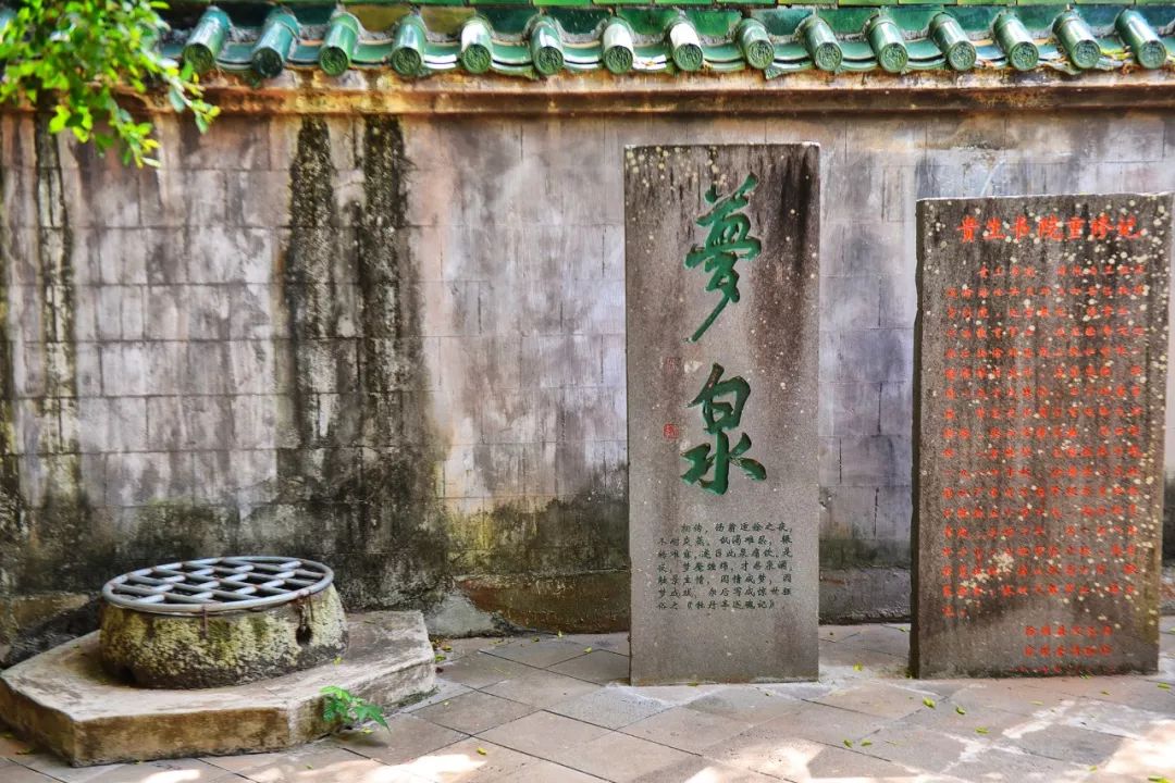 徐闻是个好地方吗,徐闻哪里有升值潜力