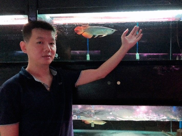 男子买金龙鱼500万,一位男子买了一条金龙鱼